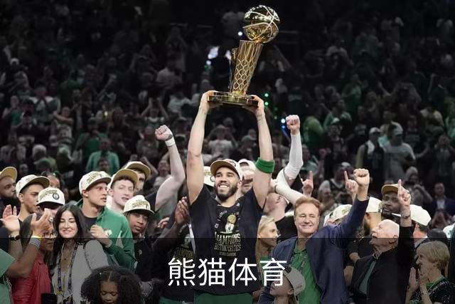 熊猫体育公司简介图片